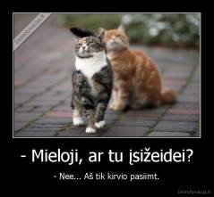 - Mieloji, ar tu įsižeidei? - - Nee... Aš tik kirvio pasiimt.