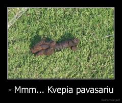 - Mmm... Kvepia pavasariu - 