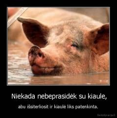  Niekada nebeprasidėk su kiaule, - abu išsiterliosit ir kiaulė liks patenkinta.