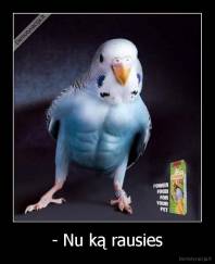 - Nu ką rausies - 
