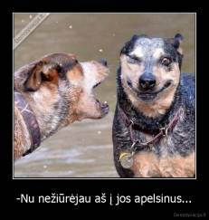 -Nu nežiūrėjau aš į jos apelsinus... - 