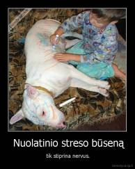  Nuolatinio streso būseną -  tik stiprina nervus.