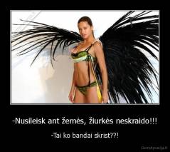 -Nusileisk ant žemės, žiurkės neskraido!!! - -Tai ko bandai skrist??!