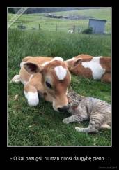 - O kai paaugsi, tu man duosi daugybę pieno... - 