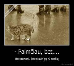 - Paimčiau, bet.... - Bet nenoriu bereikalingų rūpesčių