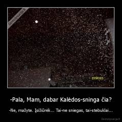 -Pala, Mam, dabar Kalėdos-sninga čia? - -Ne, mažyte. Įsižiūrėk... Tai-ne sniegas, tai-stebuklai...