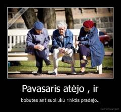  Pavasaris atėjo , ir  - bobutes ant suoliuku rinktis pradejo..