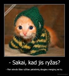 - Sakai, kad jis ryžas? - - Man atrodo šitas ryžikas pakabintų daugiau merginų nei tu.