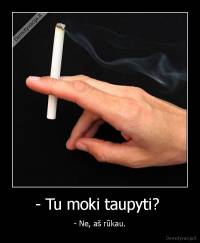 - Tu moki taupyti?  - - Ne, aš rūkau.