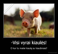 -Visi vyrai kiaulės! - O kur tu matei kiaulę su kiaušiniais?