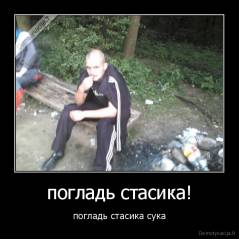 погладь стасика! - погладь стасика сука