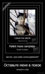 Оставьте меня в покое - сегодня я сова