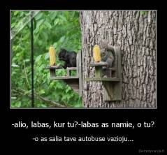 -alio, labas, kur tu?-labas as namie, o tu? - -o as salia tave autobuse vazioju...