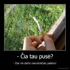 - Čia tau pusė? - - Dar nė darto nenukrėčiau peleno!