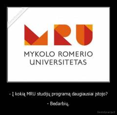 - Į kokią MRU studijų programą daugiausiai įstojo? - - Bedarbių.