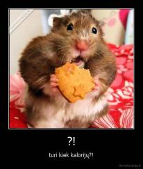 ?! - turi kiek kalorijų?!