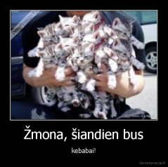  Žmona, šiandien bus  - kebabai!