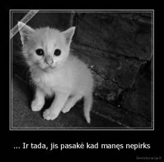 ... Ir tada, jis pasakė kad manęs nepirks - 