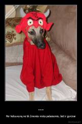 ... - Per helouwyną ne tik žmonės virsta pabaisomis, bet ir gyvūnai