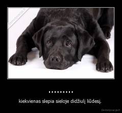 ......... - kiekvienas slepia sieloje didžiulį liūdesį. 
