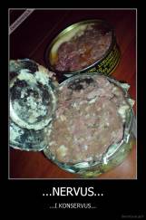 ...NERVUS... - ...I KONSERVUS...