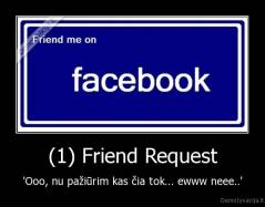 (1) Friend Request - 'Ooo, nu pažiūrim kas čia tok... ewww neee..'