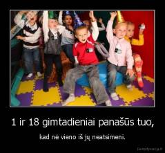 1 ir 18 gimtadieniai panašūs tuo, - kad nė vieno iš jų neatsimeni.
