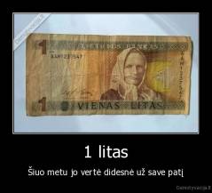 1 litas - Šiuo metu jo vertė didesnė už save patį