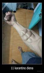 11 karantino diena - 