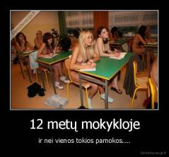 12 metų mokykloje - ir nei vienos tokios pamokos....