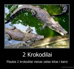 2 Krokodilai - Plaukia 2 krokodilai vienas zalias kitas i kaire