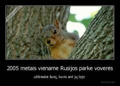 2005 metais viename Rusijos parke voverės - uždraskė šunį, kuris ant jų lojo 