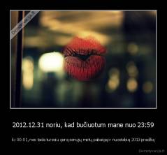 2012.12.31 noriu, kad bučiuotum mane nuo 23:59 - iki 00:01, nes tada turėsiu gerą senųjų metų pabaigą ir nuostabią 2013 pradžią
