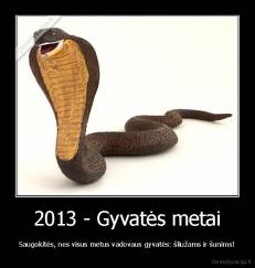 2013 - Gyvatės metai - Saugokitės, nes visus metus vadovaus gyvatės: šliužams ir šunims!