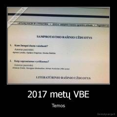 2017 metų VBE - Temos