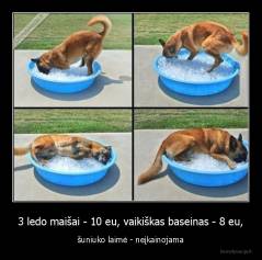 3 ledo maišai - 10 eu, vaikiškas baseinas - 8 eu, - šuniuko laimė - neįkainojama