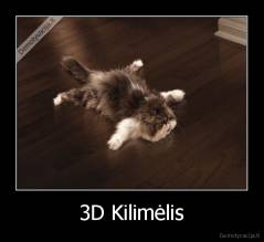 3D Kilimėlis - 