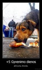 +5 Gyvenimo dienos - ačiū jums, žmonės.