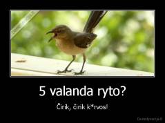 5 valanda ryto? - Čirik, čirik k*rvos!