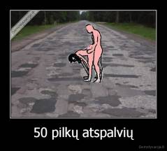 50 pilkų atspalvių - 