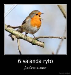 6 valanda ryto - „Čik Čirik, šūdžiai!“