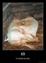 69 - Ir kiaulės tai daro