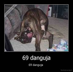 69 danguja - 69 danguja 