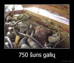 750 šuns galių - 