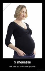 9 mėnesiai - tiek laiko yra kraunamas pasaulis