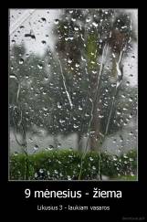 9 mėnesius - žiema - Likusius 3 - laukiam vasaros