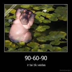 90-60-90 -  ir tai tik veidas