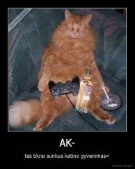 AK- - tas tikrai sunkus katino gyvenimas<