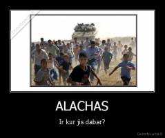 ALACHAS - Ir kur jis dabar?