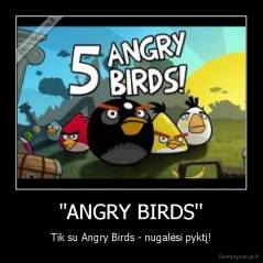 ''ANGRY BIRDS'' - Tik su Angry Birds - nugalėsi pyktį!